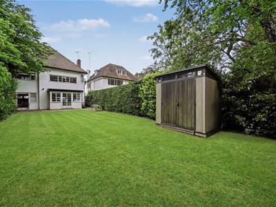 Picture 19